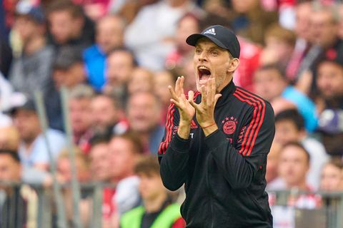 FC-Bayern-Trainer Thomas Tuchel steht schreiend im Stadion