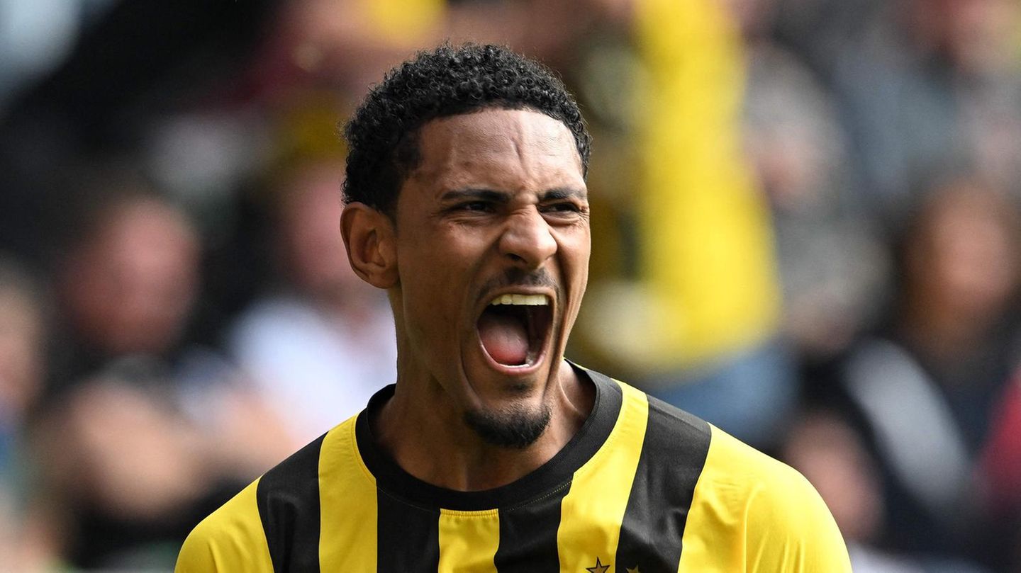 Sébastien Haller: First chemotherapy, then a key player for BVB