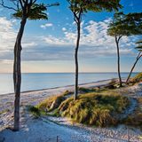 Die Küste von Fischland-Darß-Zingst