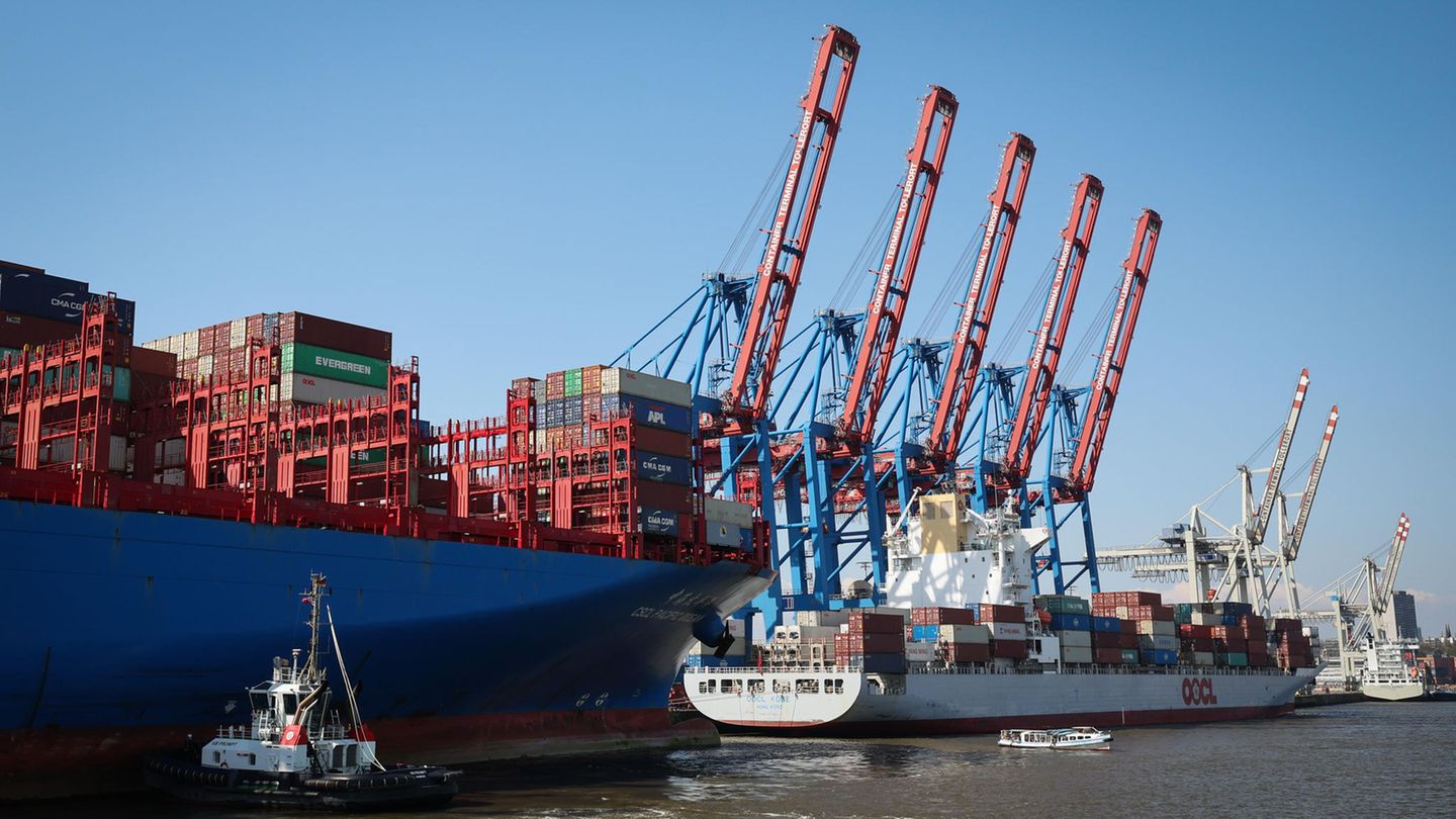 Deutsche Unternehmen: Containerschiffe liegen am Terminal Tollerort der Hamburger Hafen und Logistik AG