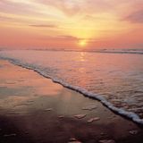 Beachwalker Park, Kiawah Island,