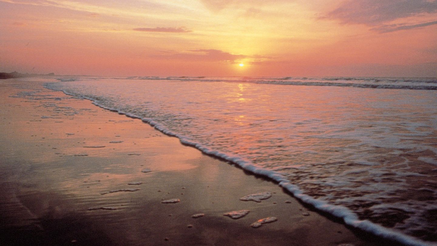 Beachwalker Park, Kiawah Island,