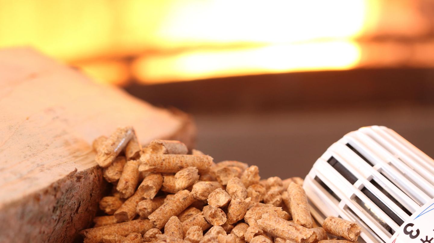 Holzpellets