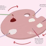 Illustrations des Zyklus des weiblichen Ausfluss