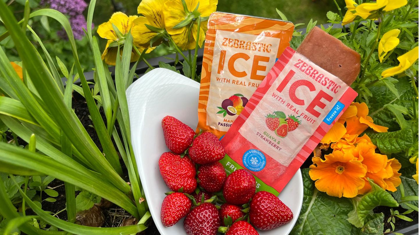 Zebra Ice aus DHDL: Erdbeeren und zwei Zebra Ice Sticks in einem Balkonkasten