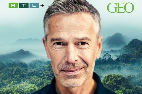 GEO-Podcast "Kettenreaktion" : Wie Wölfe das Klima retten und mehr: Der neue GEO-Podcast mit Dirk Steffens