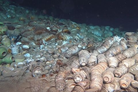 Schatzsucher finden Porzellan aus der Ming-Dynastie am Meeresgrund