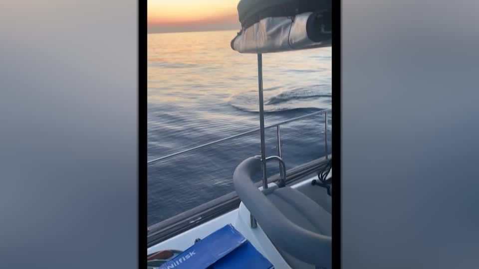 Video: Spanien: Orcas greifen Segelboot an