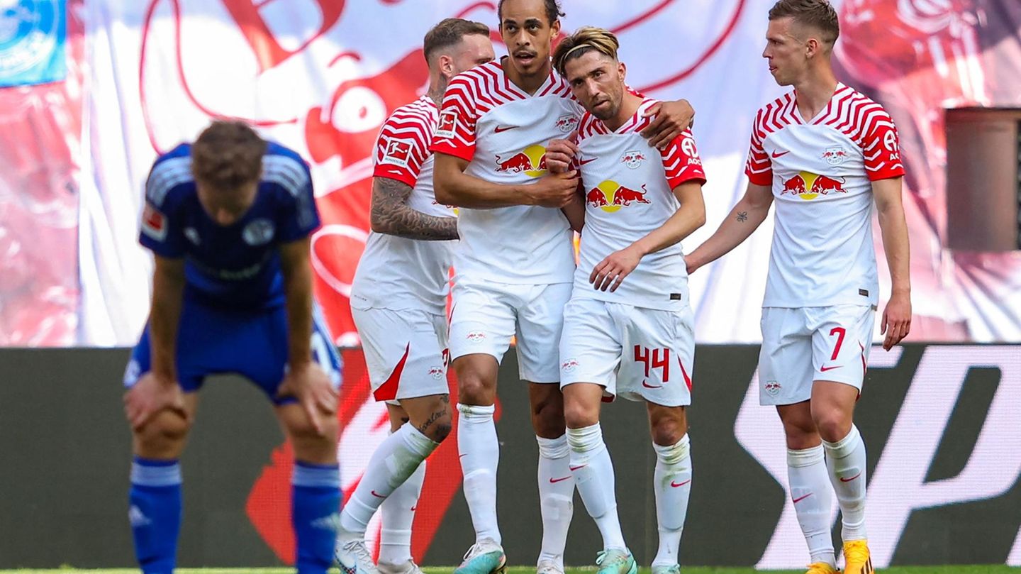 Bundesliga Schalke
