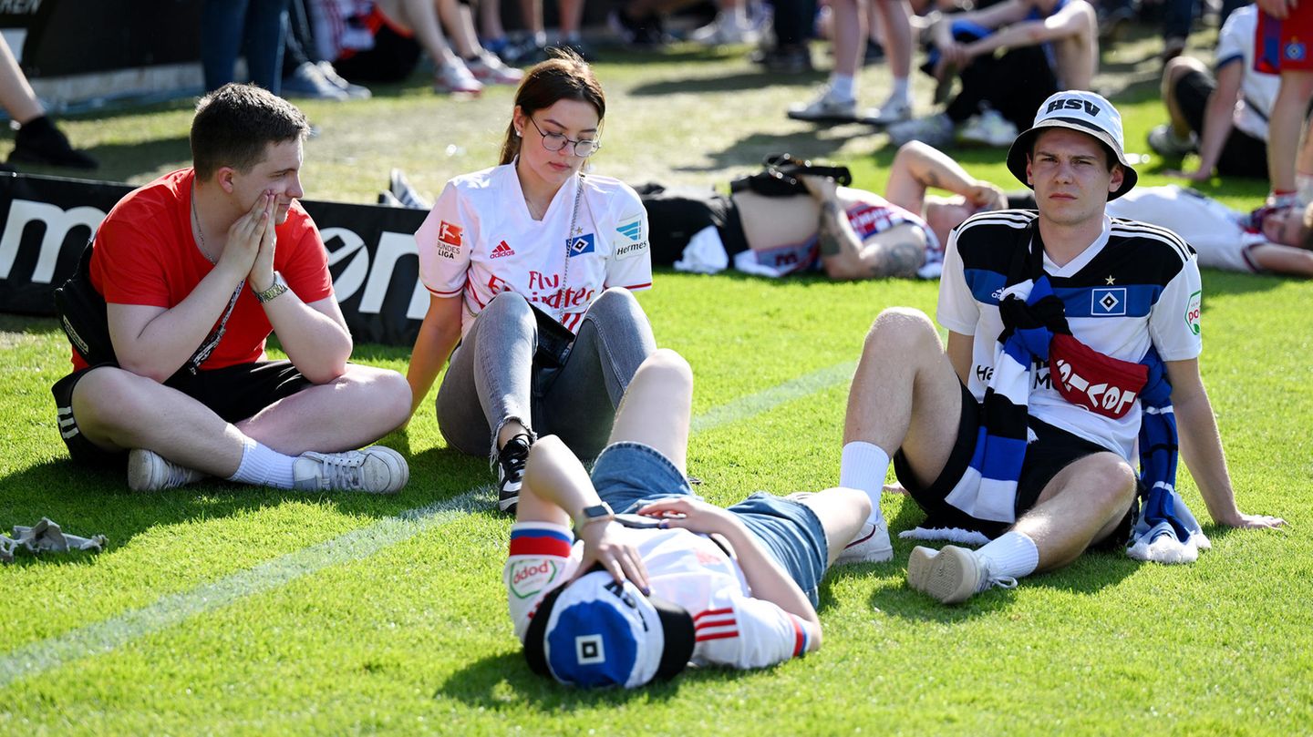 Hsv Der Größte Sorgen Profi Trainer Warnt Das Wird Die Fans Spalten - l8xcyew