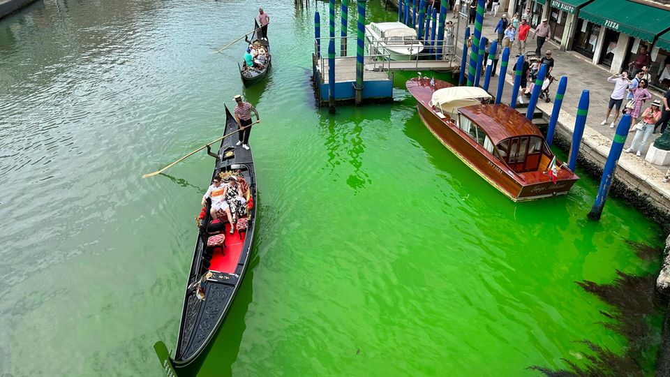 Das Wasser in Venedig hat sich grell-grün gefärbt. 