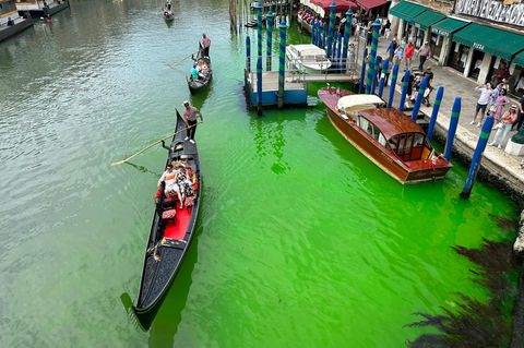 Das Wasser in Venedig hat sich grell-grün gefärbt. 