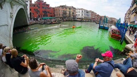 Anwohner meldeten am Sonntag einen Schleier grüner Flüssigkeit auf dem Wasser