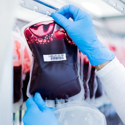 Anämie: Blutkonserven werden im Zentrallabor des DRK-Blutspendedienstes für Krankenhäuser und Praxen gefiltert und aufbereitet