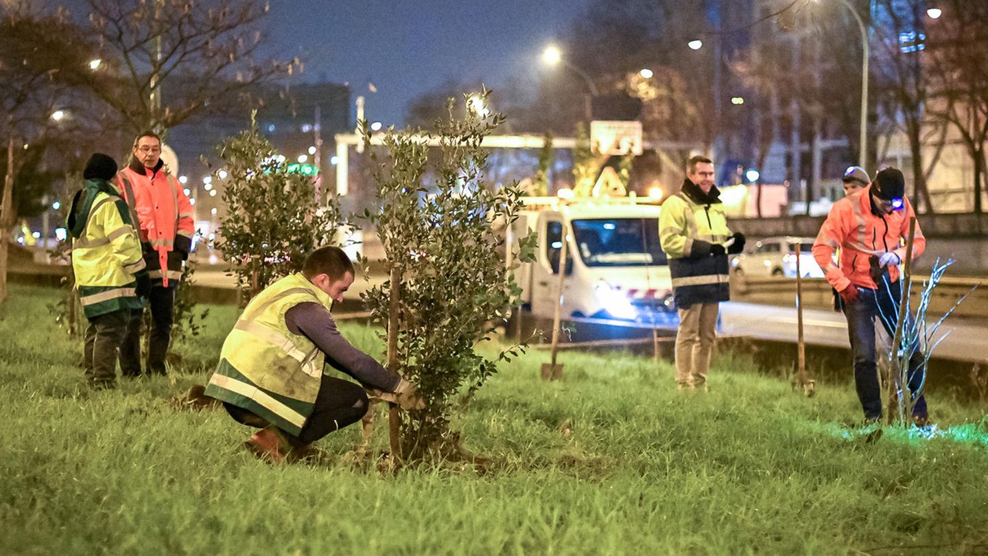 Pariser pflanzen Bäume an der Stadtautobahn "Périphérique"