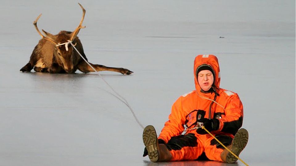 Tierrettung Hirsch Feuerwehr
