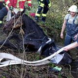 Tierrettung Pferd Wassergraben Feuerwehr