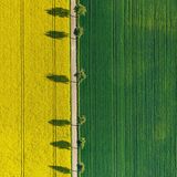 Über Bayern Rapsfelder Monhelm