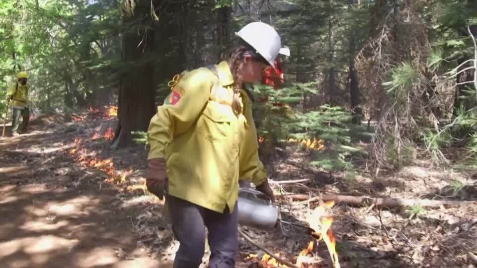 Waldbrände in den USA: Feuer mit Feuer bekämpfen: Landbesitzer zündeln – um sich selbst zu schützen