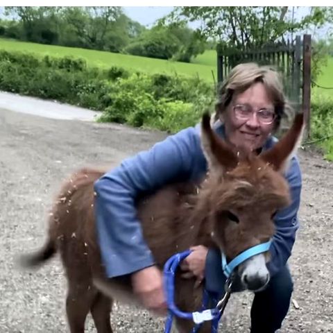Eselfohlen "Moon" schmust mit ihrer Besitzerin