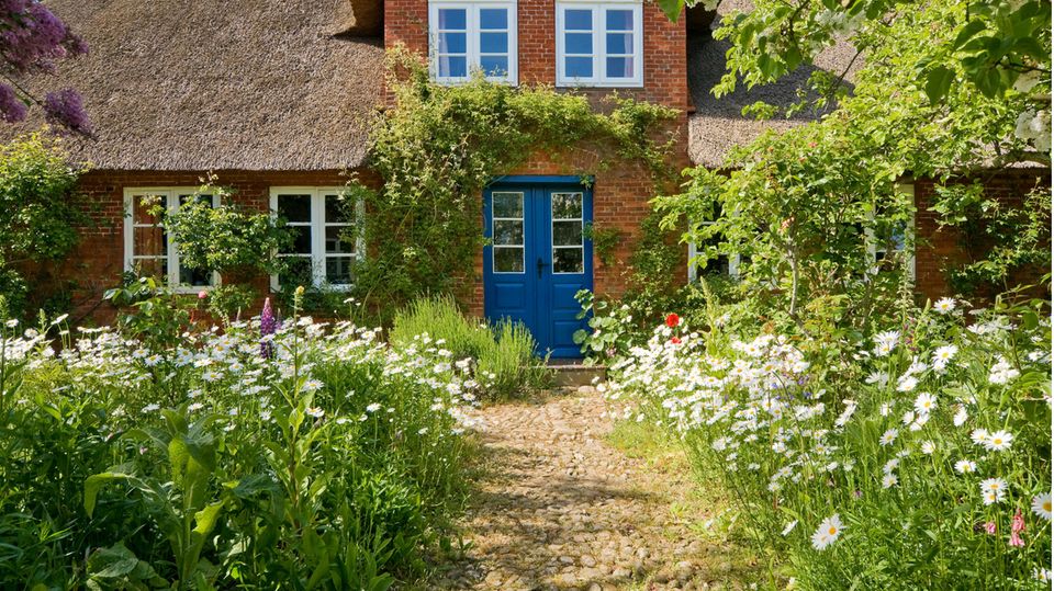 Vorgarten eines Hauses naturnah gestaltet