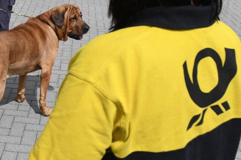 Eine Post-Mitarbeiterin von hinten, Im Hintergrund ein Hund