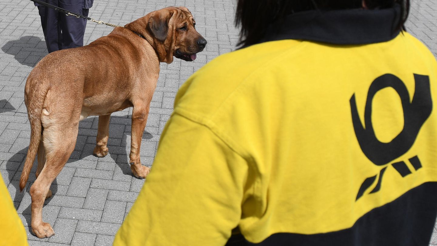 Eine Post-Mitarbeiterin von hinten, Im Hintergrund ein Hund