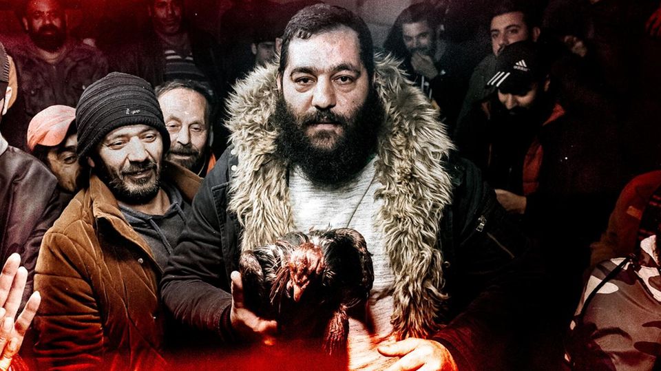 Abu Hassan Schahrur im Kreise seiner Männer mit einem siegreichen Kampfhahn