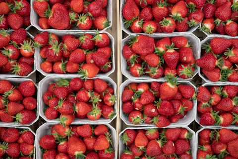 Viele Schalen mit Erdbeeren nebeneinander