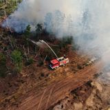 Einsatzkräfte der Feuerwehr bekämpfen in einem Waldstück nahe Jüterbog das Feuer