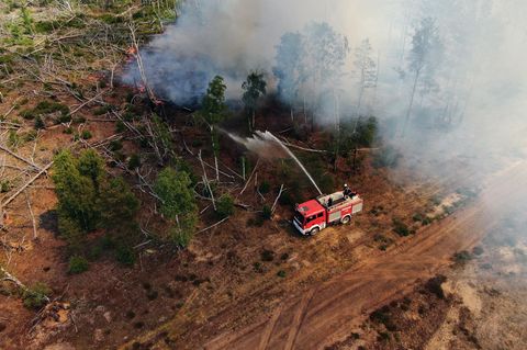 Einsatzkräfte der Feuerwehr bekämpfen in einem Waldstück nahe Jüterbog das Feuer