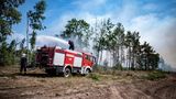 Jüteborg: Einsatzkräfte der Feuerwehr bekämpfen in einem Waldstück das Feuer
