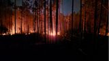Flammen lodernden bei einem Waldbrand auf einem ehemaligen Truppenübungsplatz bei Jüterbog