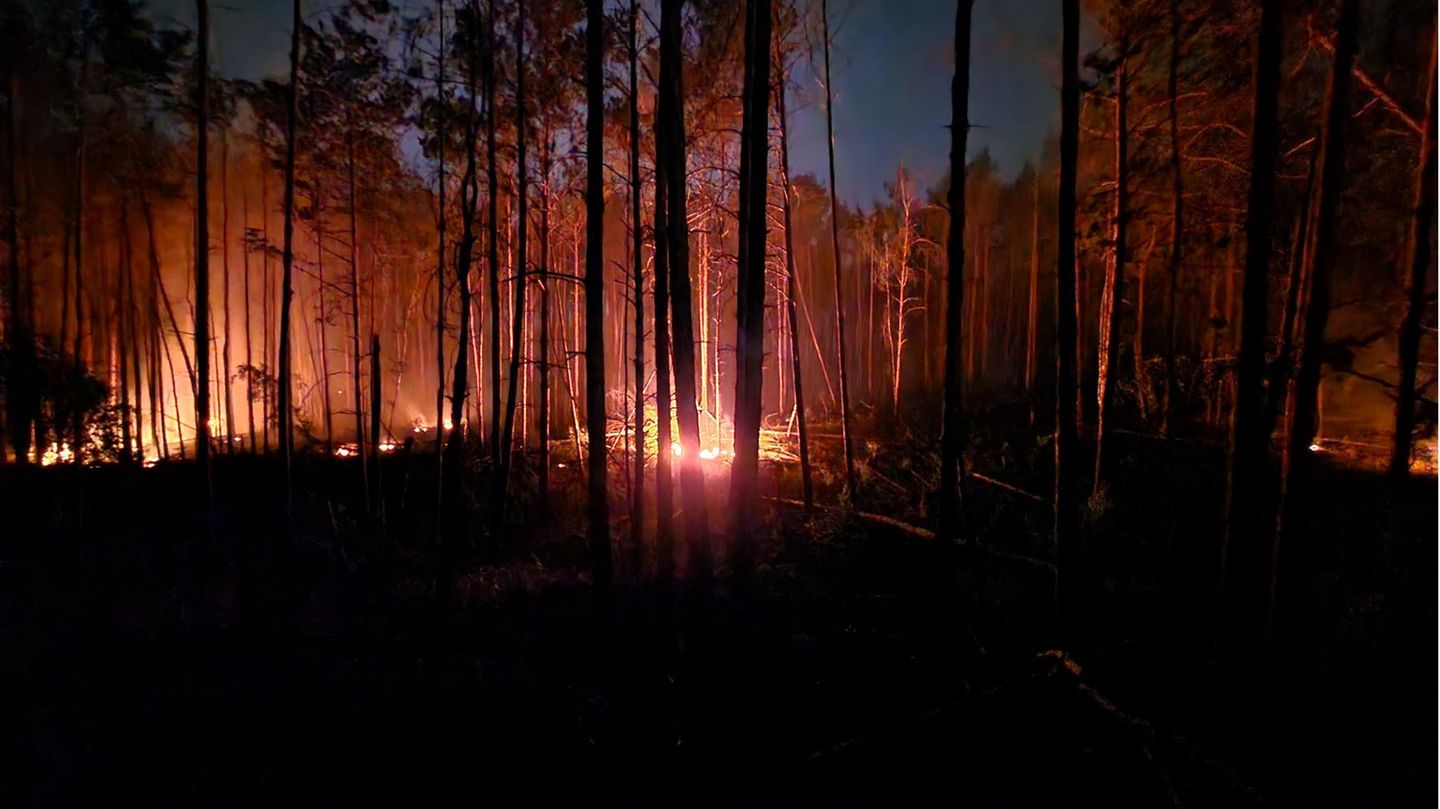 Flammen lodernden bei einem Waldbrand auf einem ehemaligen Truppenübungsplatz bei Jüterbog
