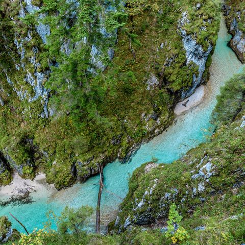 Im bayerischen Örtchen Mittenwald startet eine beeindruckende Wanderung durch die beliebte Leutaschklamm. Auf einem etwas erhöhten Weg wandern die Besucher dort die Klamm entlang, vorbei an Wasserfällen und Gletscherschliffen. Aber: Die Klamm ist nur von Mai bis Oktober geöffnet.   Art: Rundweg  Strecke: 7,6 Kilometer