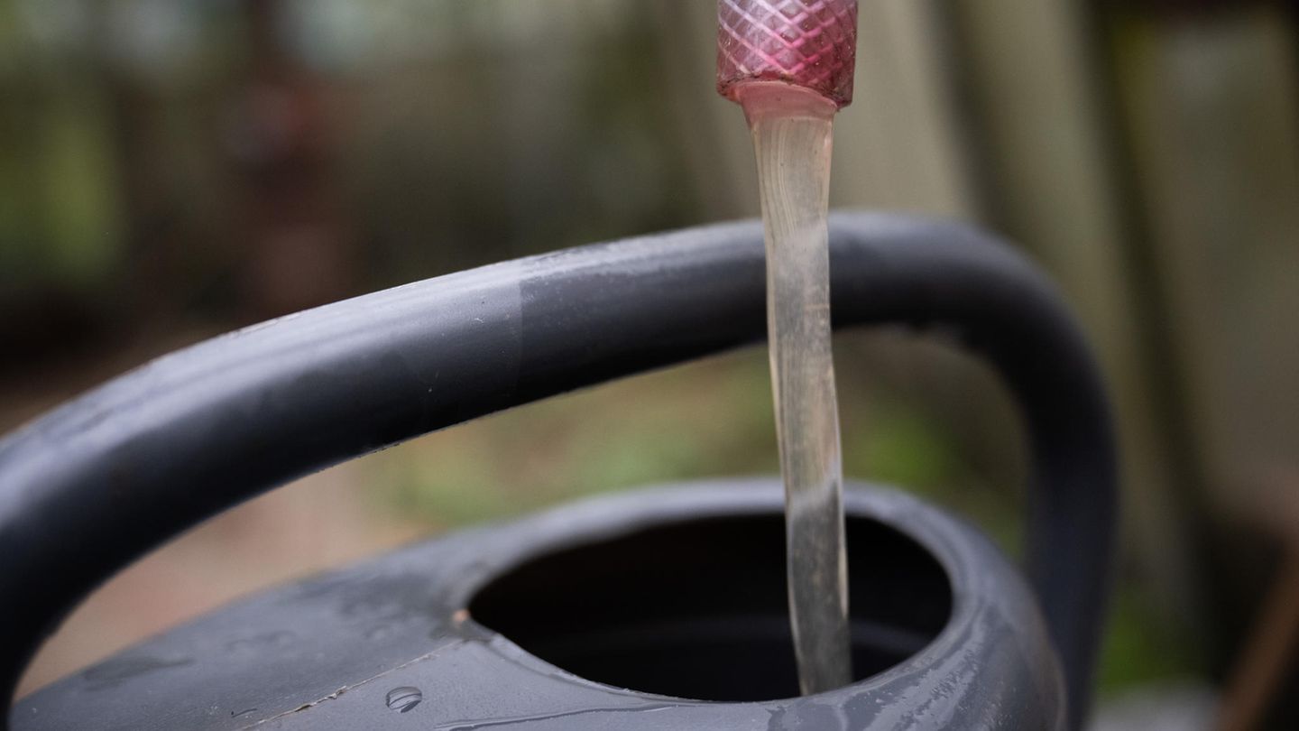 Grundwasser fließt aus einem Schlauch in eine Gießkanne. Der Wasserpreis könnte steigen