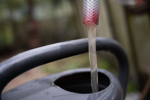 Grundwasser fließt aus einem Schlauch in eine Gießkanne. Der Wasserpreis könnte steigen