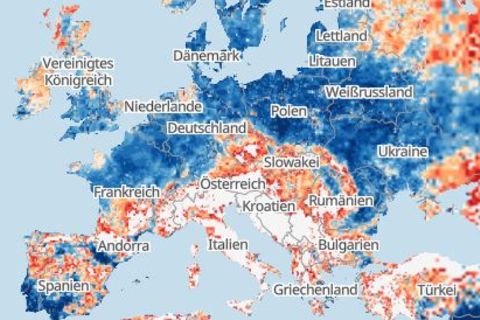 Waldbrand-Gefahr: Eine Europa-Karte zeigt betroffene Gebiete