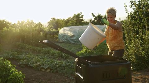 Plagen Sie Ameisen im Haus oder Garten? Wie Sie die Insekten verscheuchen ohne sie zu töten, erfahren Sie hier.