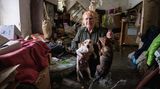 Gerettete Tiere