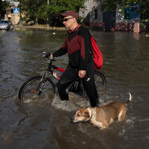 Ein Anwohner mit einem Fahrrad und einem Hund bahnt sich einen Weg durch eine überflutete Straße in Cherson