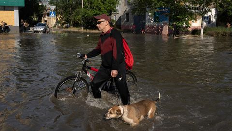 Ein Anwohner mit einem Fahrrad und einem Hund bahnt sich einen Weg durch eine überflutete Straße in Cherson