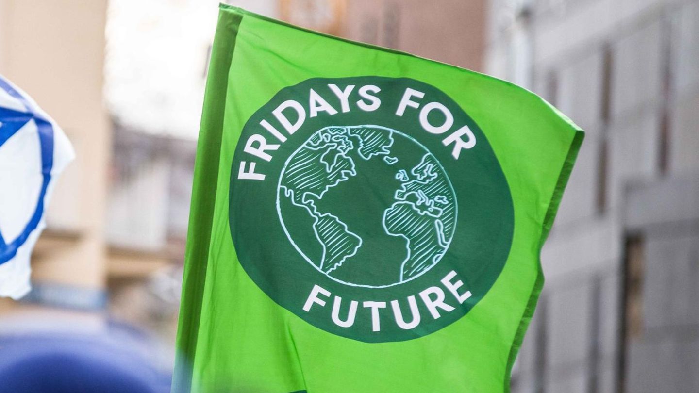 Fridays for Future wirft der FDP Anarbeiten gegen schnellen und gerechten Klimaschutz vor