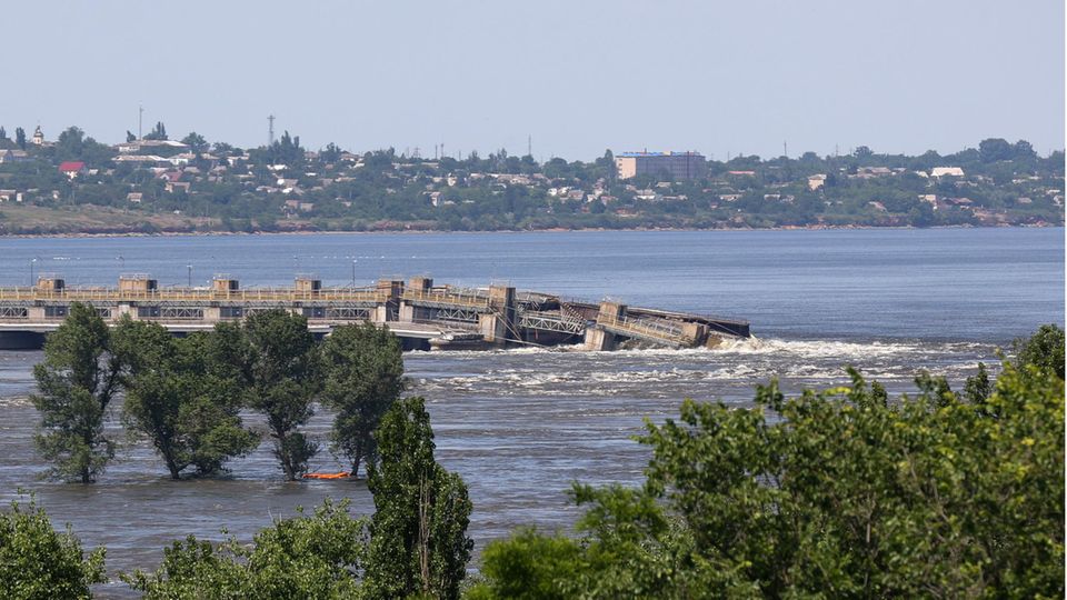 "Für die Ukraine macht es nicht wirklich Sinn" – Russland-Experte ordnet Schuldzuweisungen ein "Für die Ukraine macht es nicht wirklich Sinn" – Russland-Experte ordnet Schuldzuweisungen ein