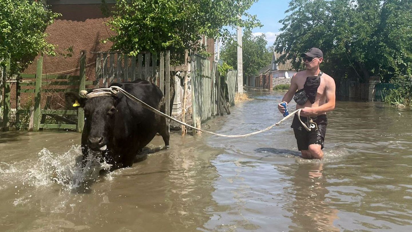 Ukraine: Flooding has major consequences for feeding the world