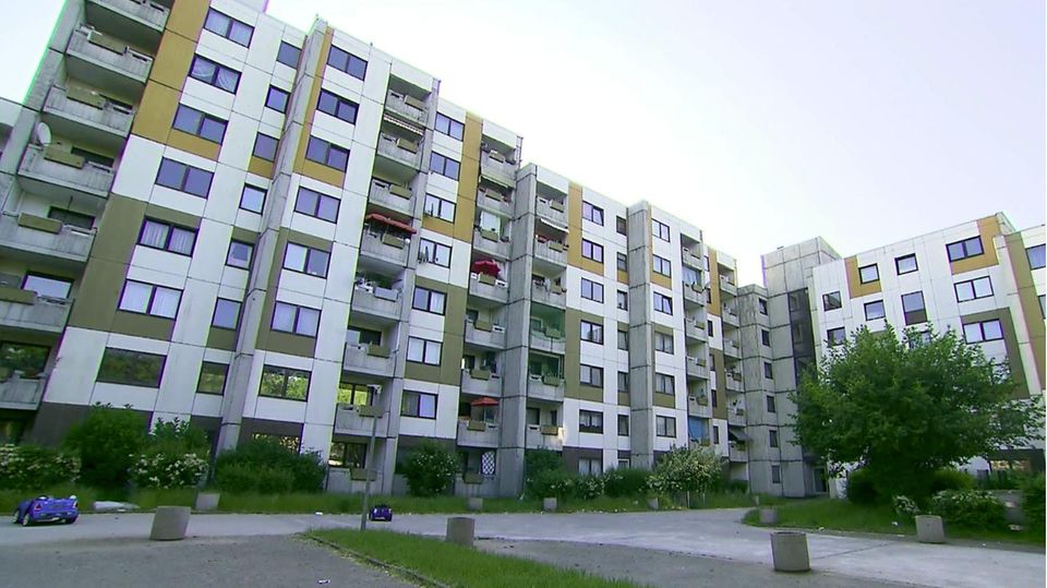 Schimmel, Ratten und Müll: NRW-Bauministerin besucht Problem-Wohnungen – Mieter schämen sich für Zuhause Schimmel, Ratten und Müll: NRW-Bauministerin besucht Problem-Wohnungen – Mieter schämen sich für Zuhause