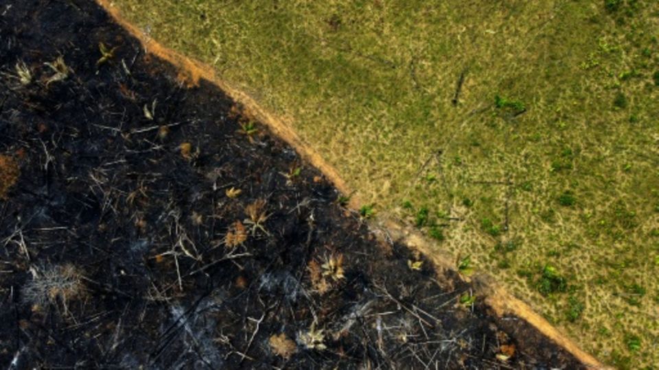 Luftaufnahme einer abgebrannten Waldfläche im Amazonas