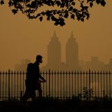 Menschen im bekannten New Yorker Central Park haben sich Gesichtsmasken aufgezogen