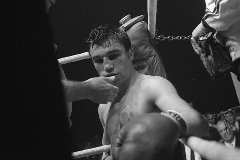 Boxer Jupp Elze
