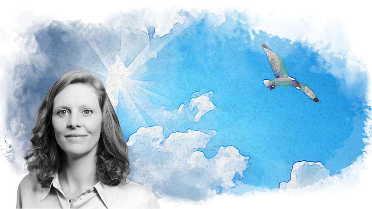 Portrait Franziska Wallner. Die Sonne strahlt hinter dunklen Wolken hervor und ein Vogel fliegt davon.